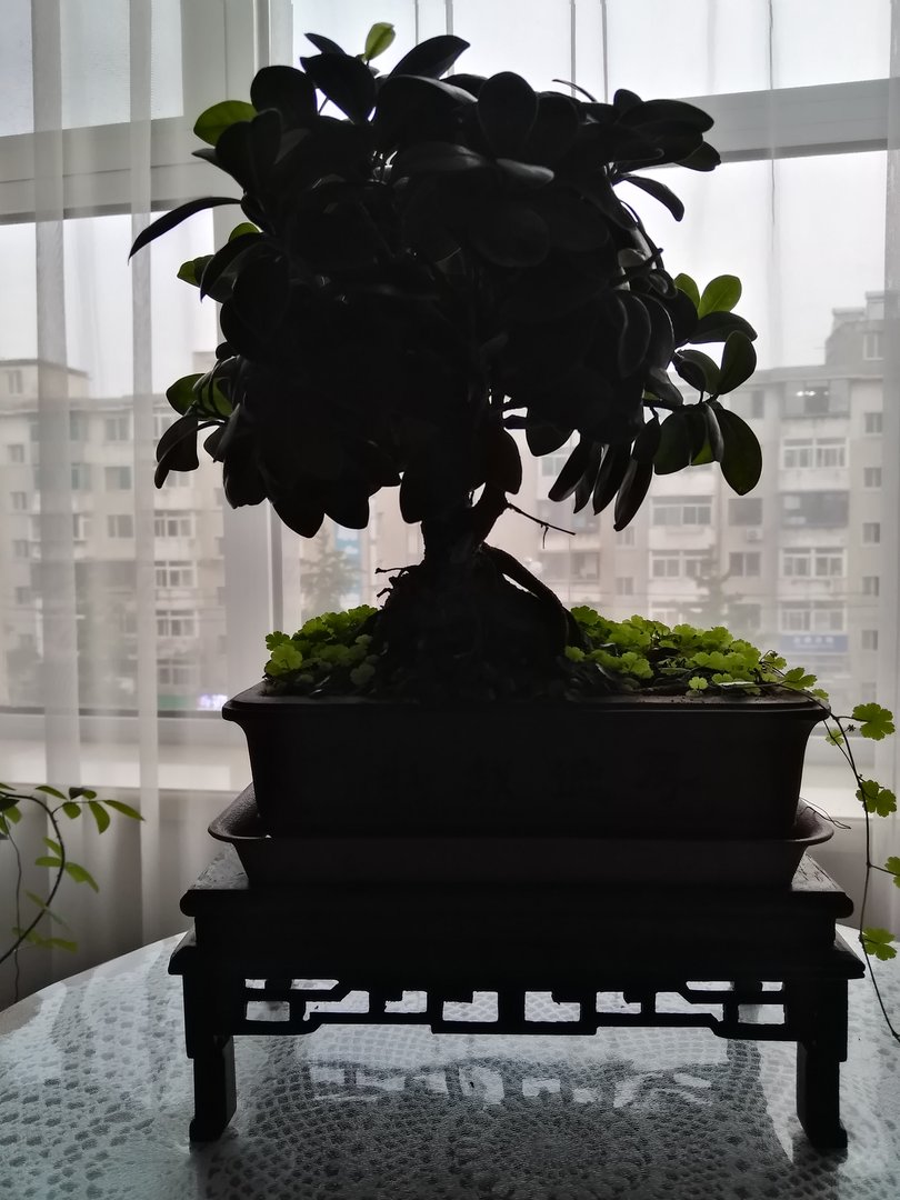 因为打架被公司开除了，公司没有给我任何补偿，劳动合同公司不给我，我该怎么办？