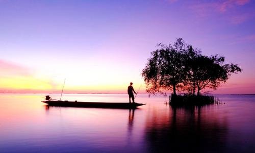 人生不在初相逢的下一句是什么？