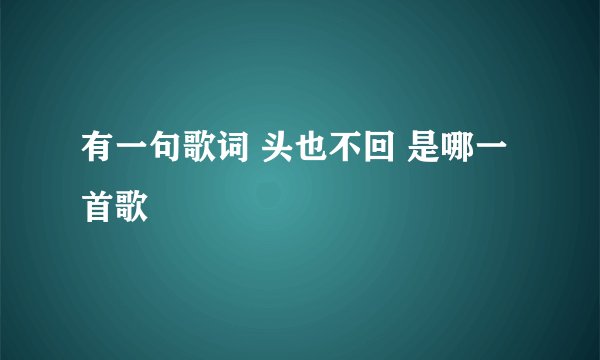 有一句歌词 头也不回 是哪一首歌