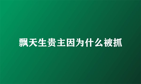 飘天生贵主因为什么被抓
