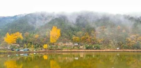 清明节当天可以扫墓吗！？