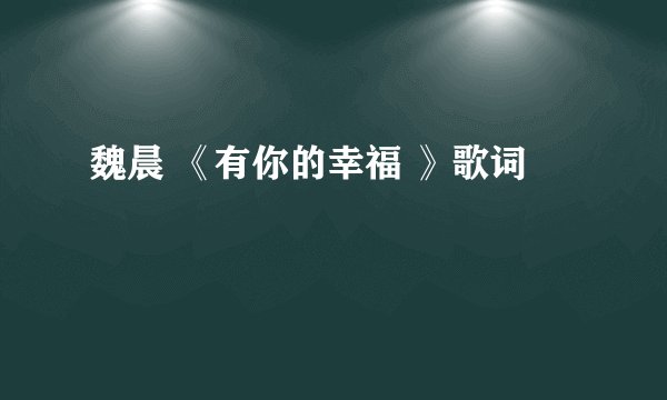 魏晨 《有你的幸福 》歌词