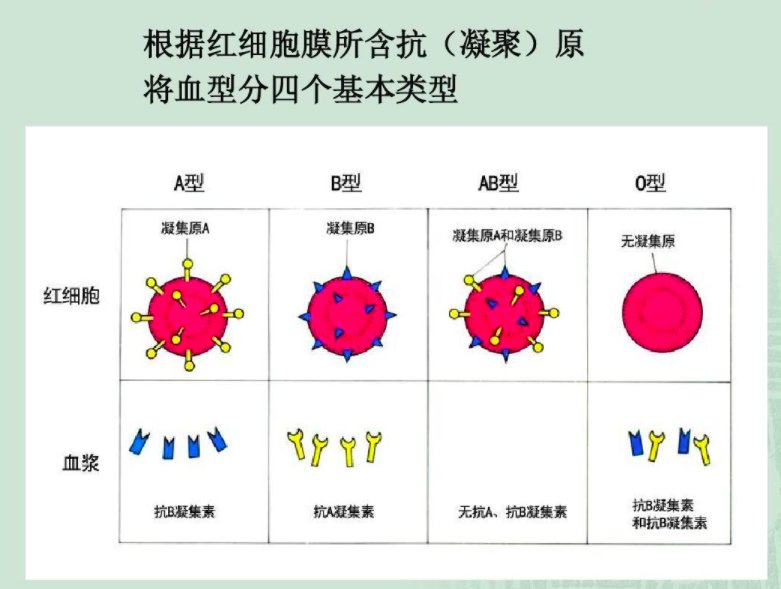 凝集原和凝集素有什么区别？