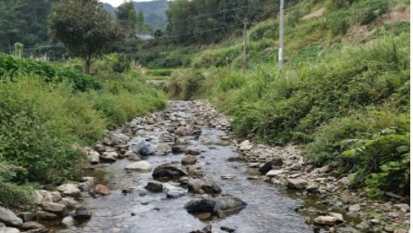 在山火拉锯战中，啥是“以火灭火”？“以火灭火”是什么原理？