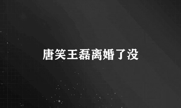唐笑王磊离婚了没