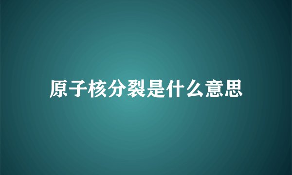 原子核分裂是什么意思