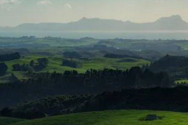 阜的拼音怎么读音