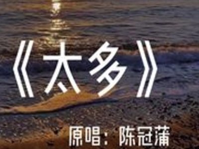 太多的借口,太多的理由是什么歌