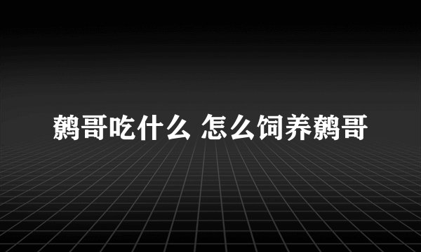 鹩哥吃什么 怎么饲养鹩哥