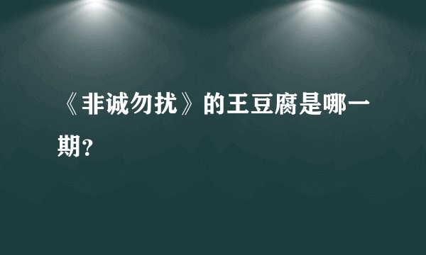 《非诚勿扰》的王豆腐是哪一期？