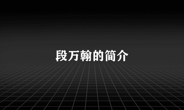 段万翰的简介