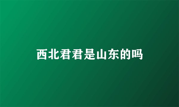 西北君君是山东的吗