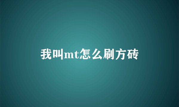 我叫mt怎么刷方砖