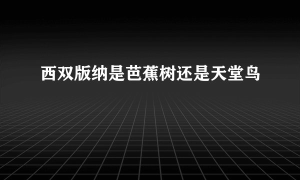 西双版纳是芭蕉树还是天堂鸟
