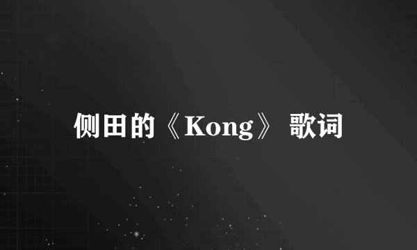 侧田的《Kong》 歌词