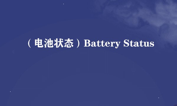 （电池状态）Battery Status