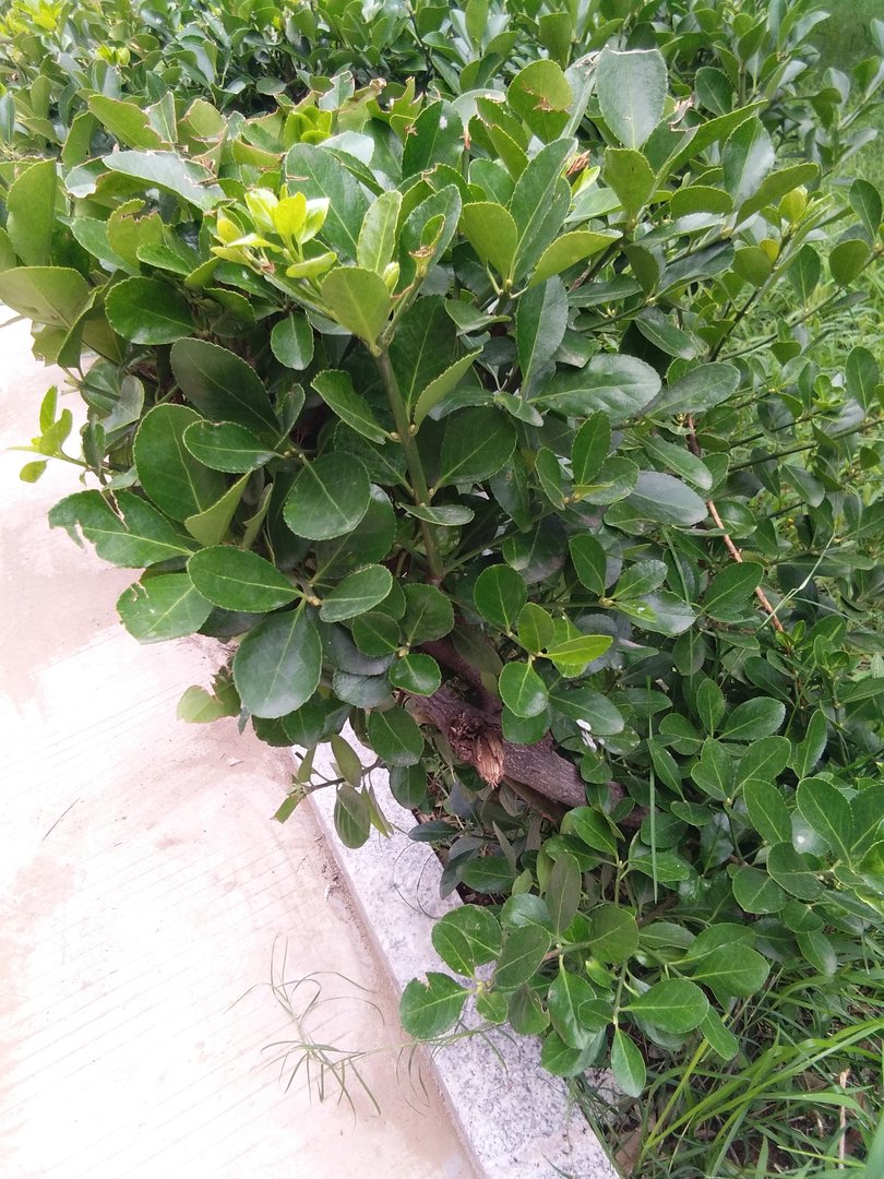 为什么人总是喜欢在睡前幻想一些东西？