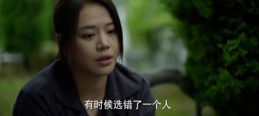 《江照黎明》每天更新几集？
