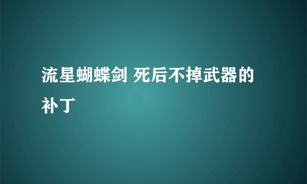 流星蝴蝶剑 死后不掉武器的补丁