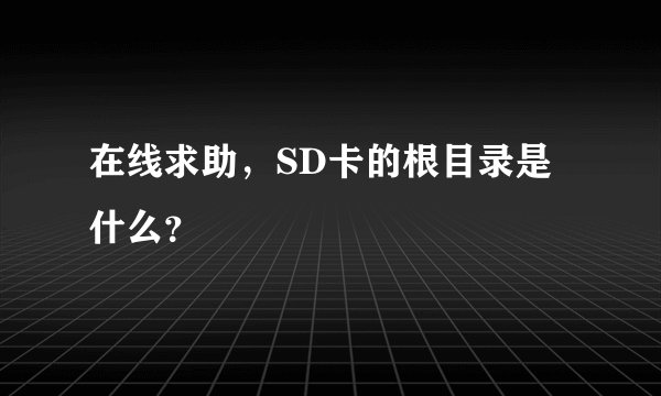 在线求助，SD卡的根目录是什么？