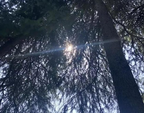 总有一些人会对别人的事情出主意，而且是背后去说。是什么心态呢？