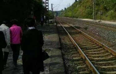 张玉环无罪让受害者家属无法接受，你能够理解吗？