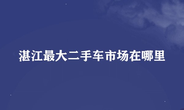 湛江最大二手车市场在哪里