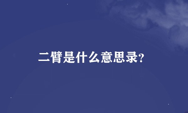 二臂是什么意思录？