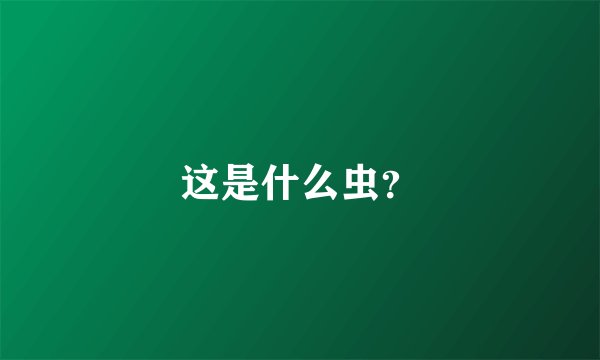 这是什么虫？