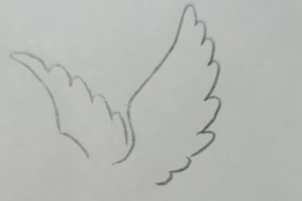 和平鸽怎么画简笔画