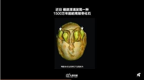 1500万年前的枣被发现，那个时代的枣长什么样？