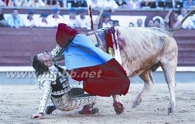 朱利奥·阿帕里西奥的简介