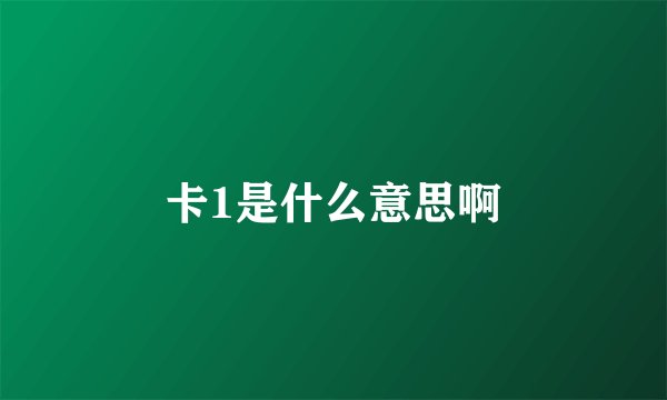 卡1是什么意思啊