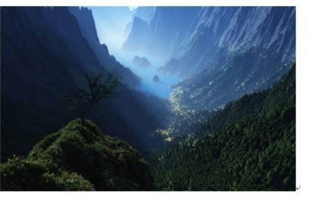 word文档中图片不显示怎办？