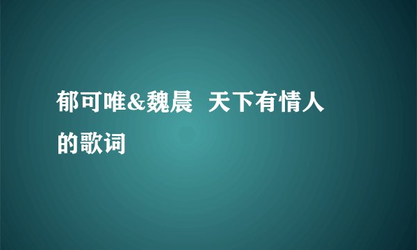郁可唯&魏晨  天下有情人   的歌词