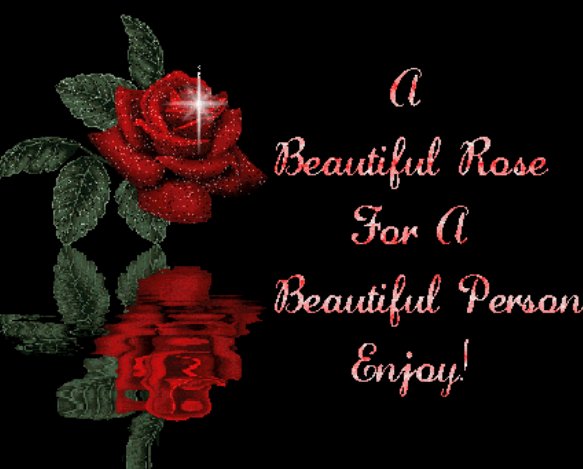 好看的英文单词有哪些?