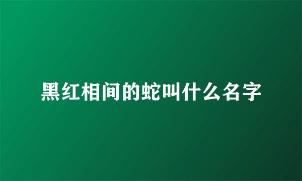 黑红相间的蛇叫什么名字