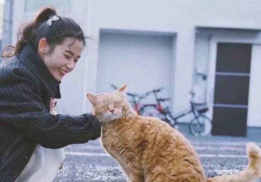 用情景交融的手法写一个句子
