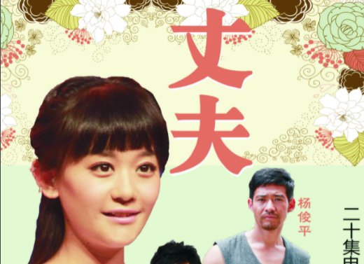电视剧丈夫分集剧情介绍