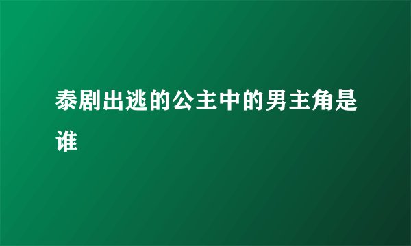 泰剧出逃的公主中的男主角是谁