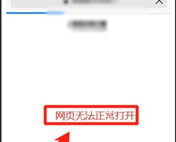 苹果公共wifi密码怎么输入