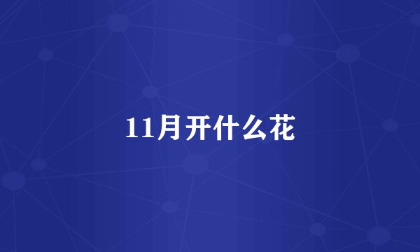 11月开什么花
