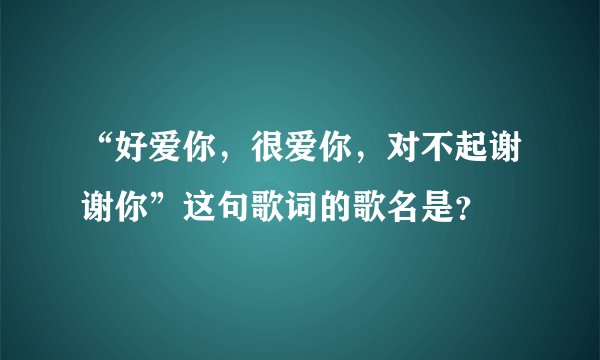 “好爱你，很爱你，对不起谢谢你”这句歌词的歌名是？