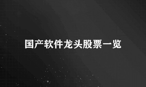 国产软件龙头股票一览