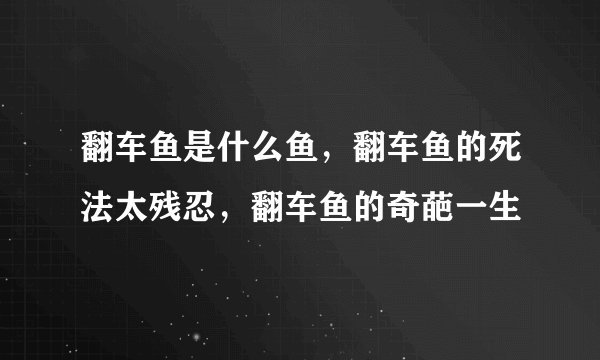 翻车鱼是什么鱼，翻车鱼的死法太残忍，翻车鱼的奇葩一生