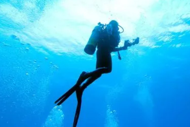 潜水在字典中的意思