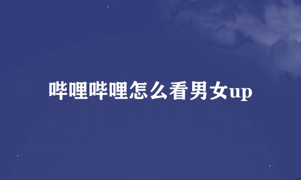 哔哩哔哩怎么看男女up