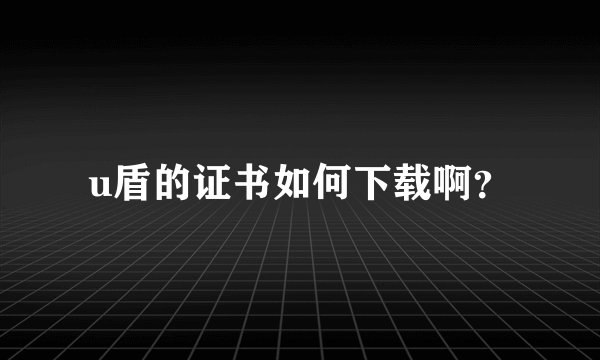 u盾的证书如何下载啊？