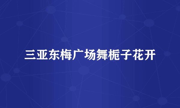三亚东梅广场舞栀子花开