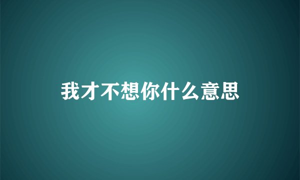 我才不想你什么意思